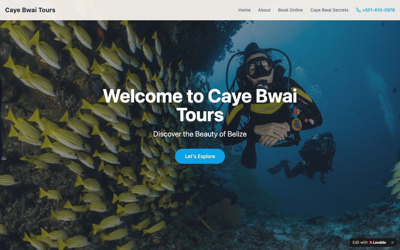 Travel tours website